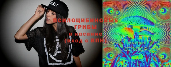 a pvp Семилуки