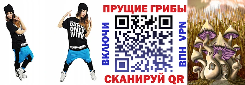Галлюциногенные грибы Psilocybe  Гулькевичи 